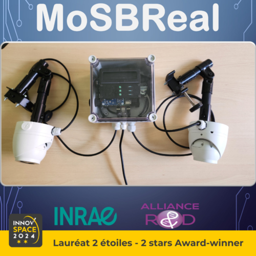 MoSBReal