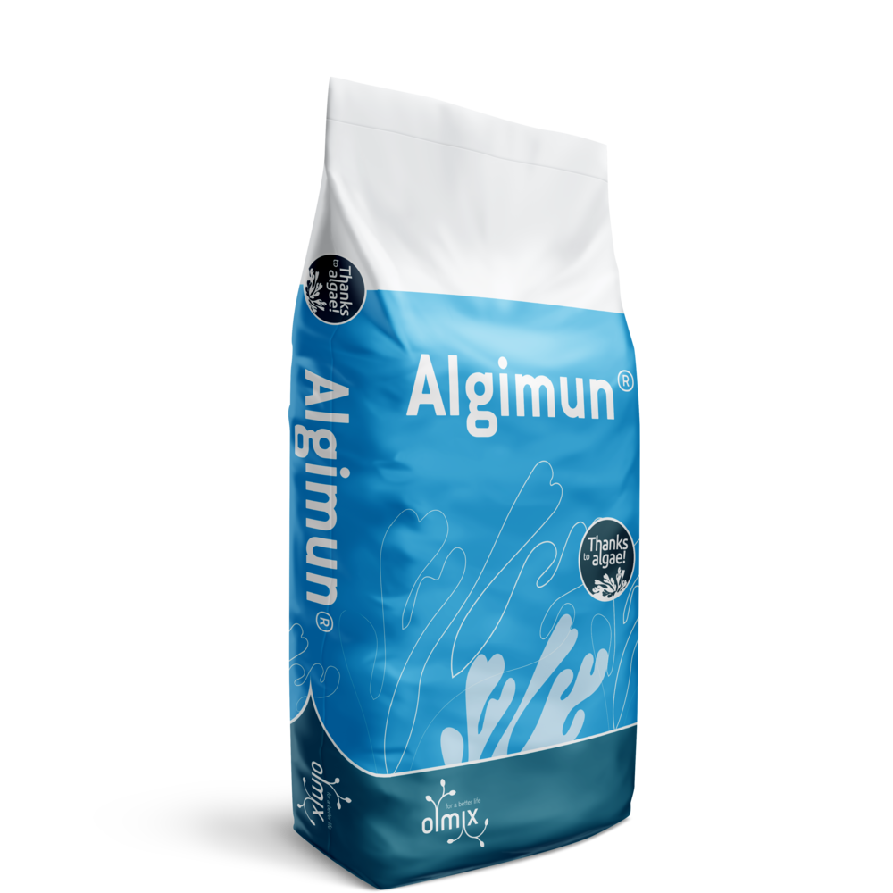 Algimun