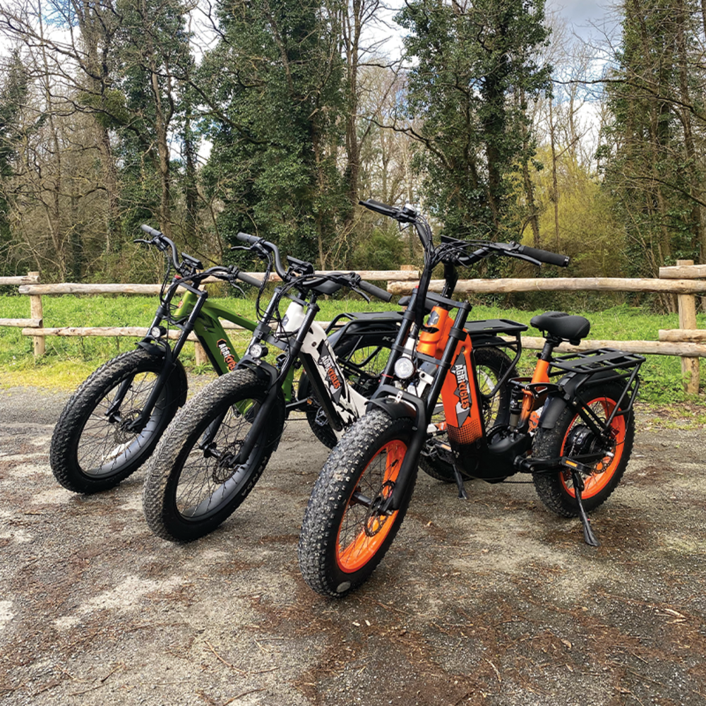 Agricycles electric bikes
