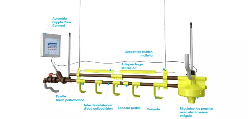 Solution d'abreuvement Dripple Care®