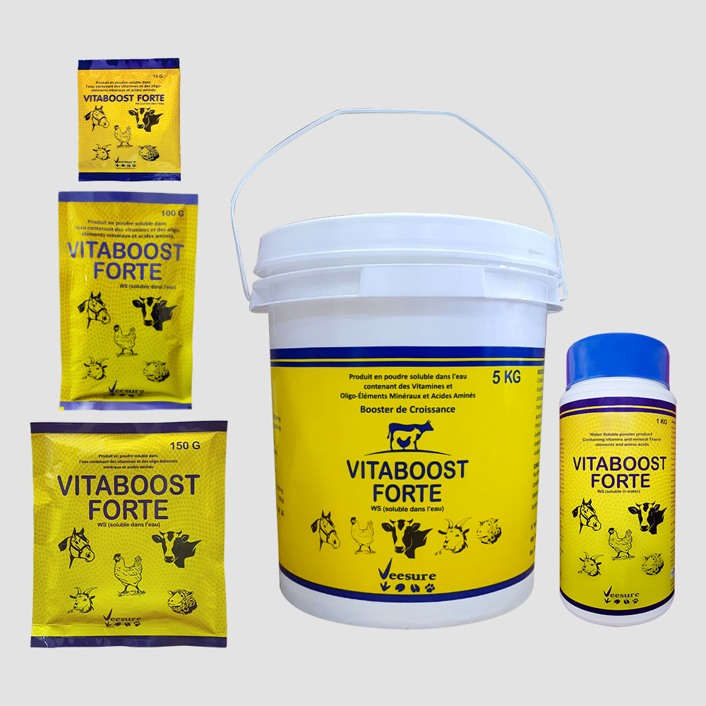 VITABOOST FORTE