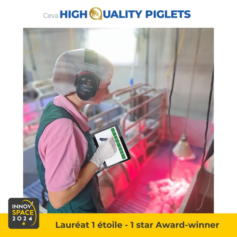 High Quality Piglets Audit