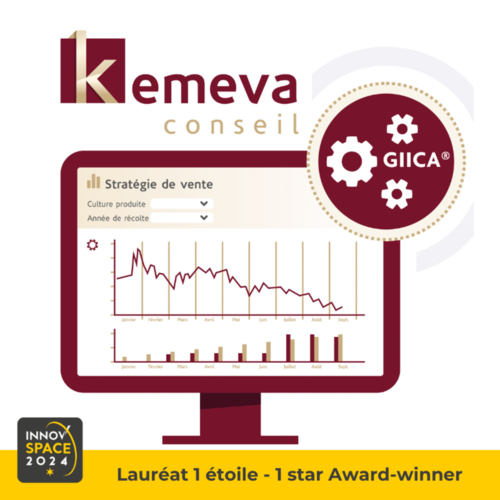 GIICA STRATEGIE
