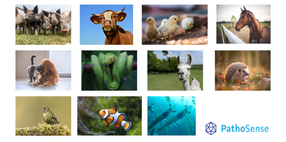 Étude du microbiome