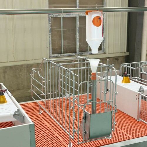 gestation crate