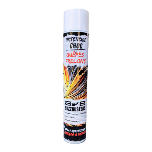 Aérosol spécial guêpes et frelons XL 750ml – Effet choc et rémanent