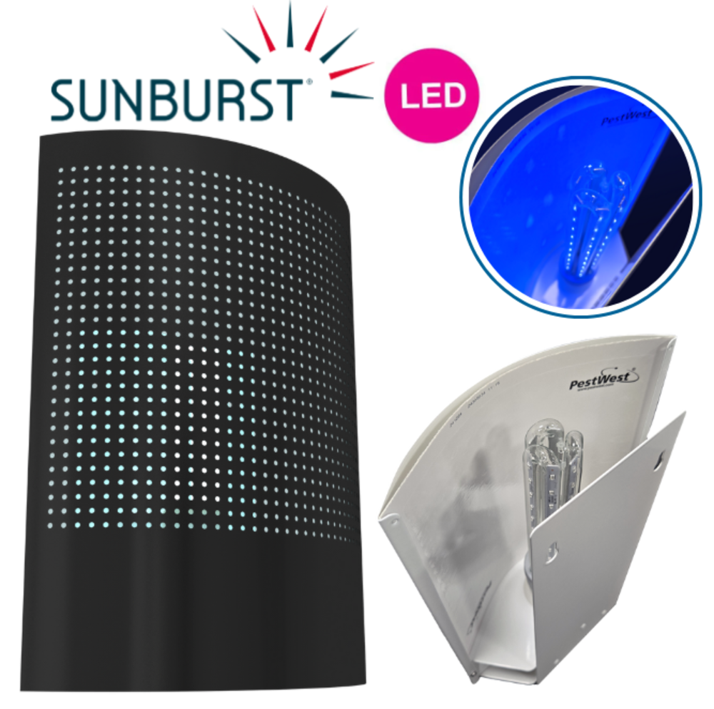 SUNBURST® LED NOIR