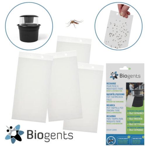 BIOGENTS PLAQUES DE GLU/STICKY CARDS BG-GAT (x10)