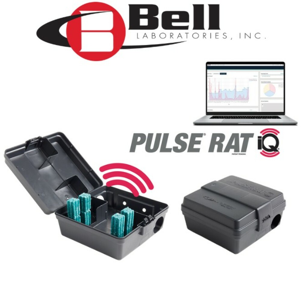 PULSE® RAT IQ® STATION CONNECTÉE (x6)