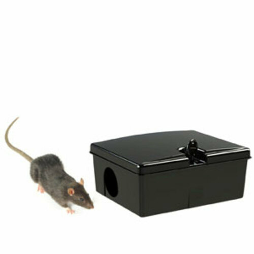 Boite pour appât pour rat et souris, GRANDE