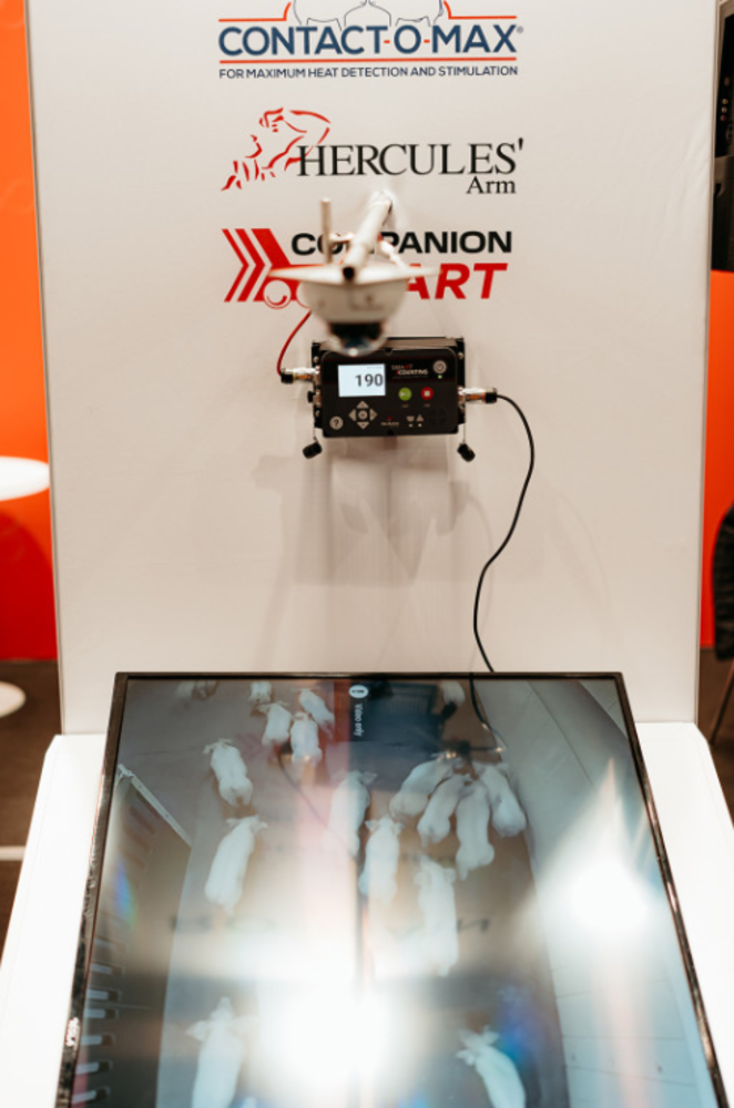 SMART-COUNTING - Compteur à cochons automatisé