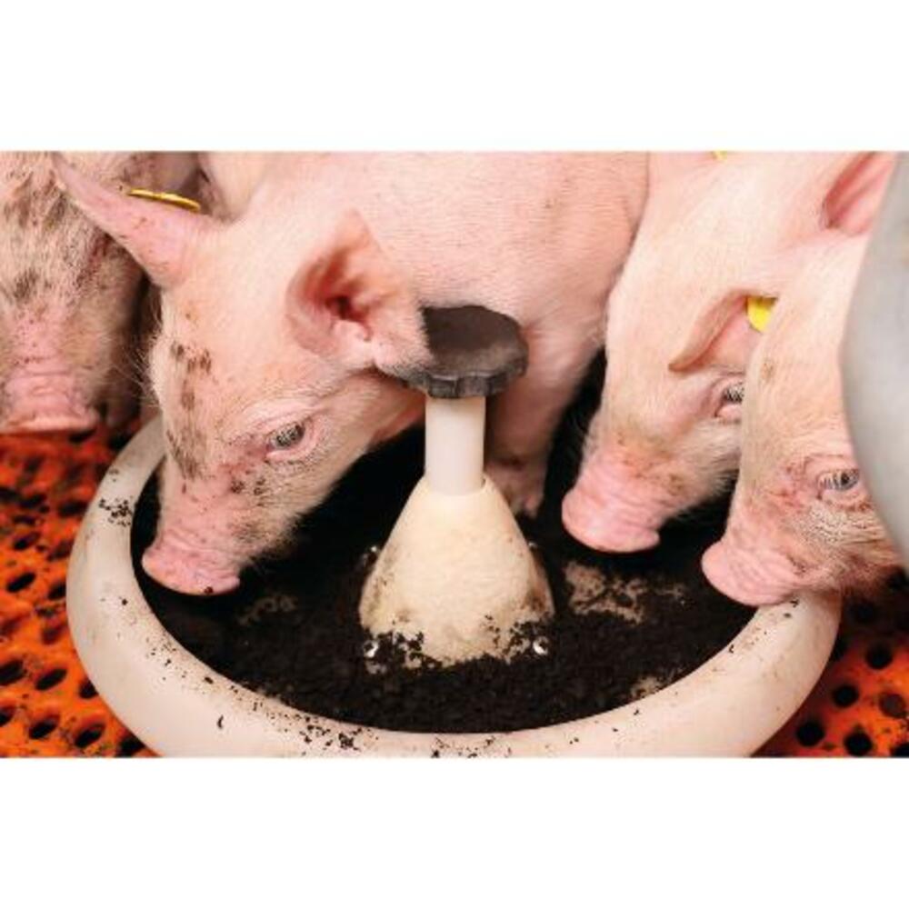 MS TerraFeed FE: Feed supplement for your piglets