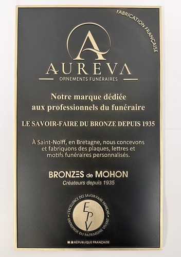 Plaque en Bronze massif en relief 2D