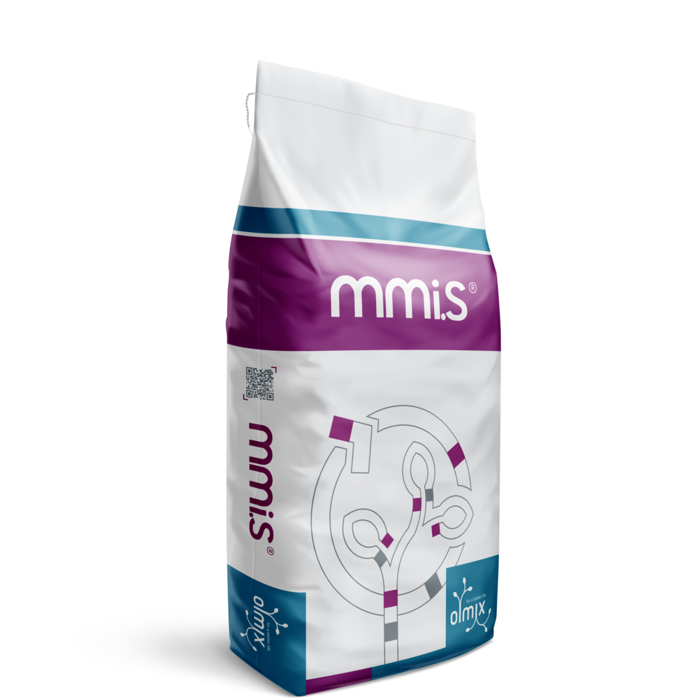 MMi.S®