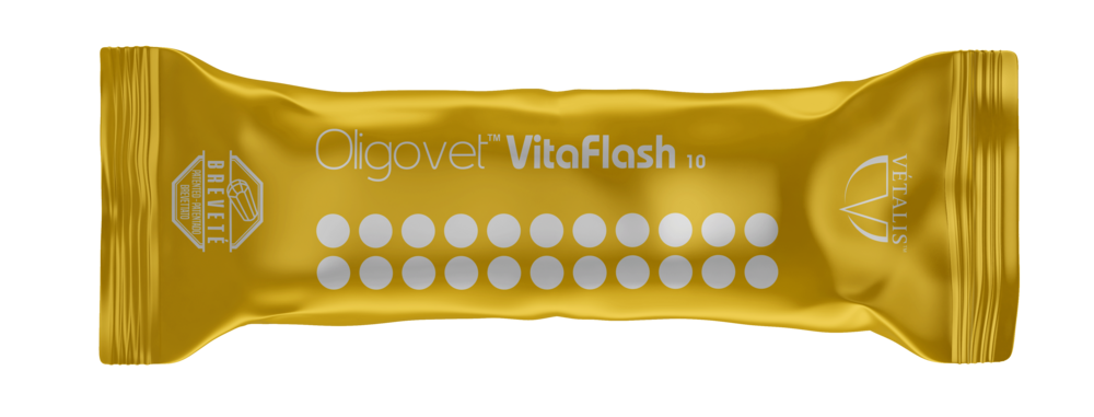 Oligovet Vitaflash10