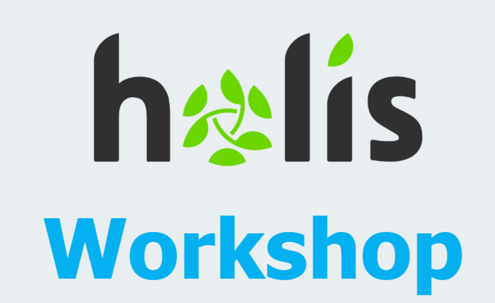Holis Workshop